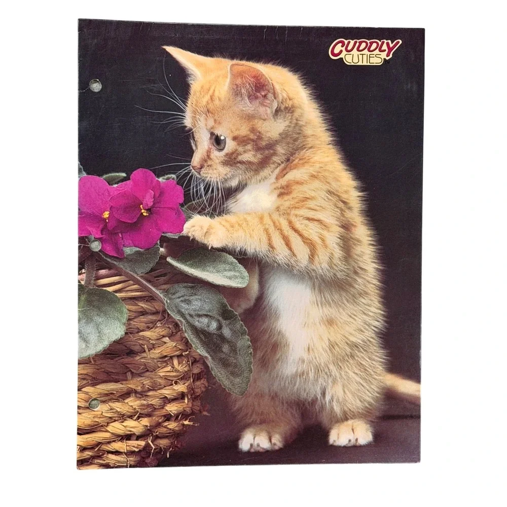 VTG Mead Brushcreek Cuddly Cuties Portfolio Folders Black Orange Cat Set of 2